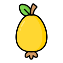 guayaba icon