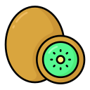 kiwi icon