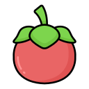 tomate icon