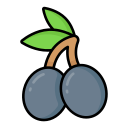 aceituna icon