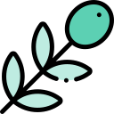 aceituna icon