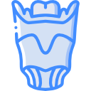 Larynx