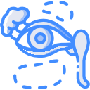 Eye