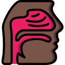 nasal icon