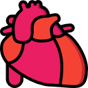 corazón icon