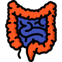 intestinos icon