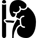 Adrenal Gland