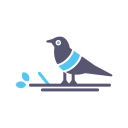 pájaro icon