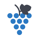 uvas icon