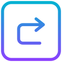 flecha correcta icon