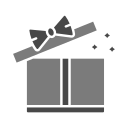 caja de regalo icon