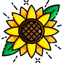 girasol