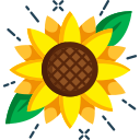 girasol icon