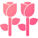 rosa icon