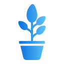 planta en maceta icon