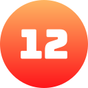 12 icon