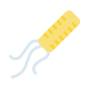 lactobacillus 