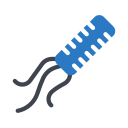 lactobacillus 