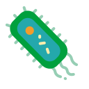 bacterias icon