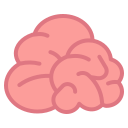 cerebro icon