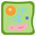 célula vegetal icon