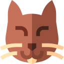 gato icon