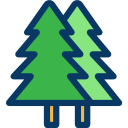 baum 