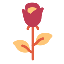 rosa icon