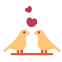 pássaros do amor 