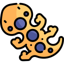 salamandra icon