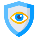 vigilancia icon