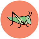 saltamontes icon