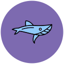 ballena icon