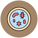 bacterias icon