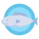 salmón icon