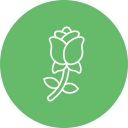 rosa icon