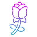 rosa icon