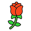 rosa