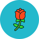 rosa icon