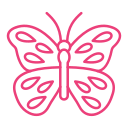 mariposa