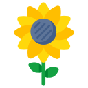 girasol icon