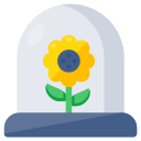 girasol icon