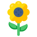 girasol icon