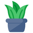 aloe vera icon