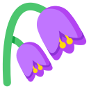 campanilla icon