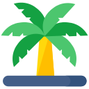 Árbol de coco icon