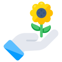 girasol icon