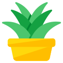 aloe vera icon