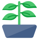 house plants icon