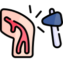 rodilla icon